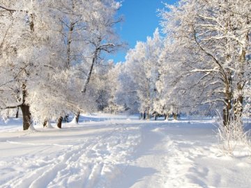 Погода в Луцьку та Волинській області на п’ятницю, 13 січня
