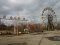 Чорнобильську зону перетворили на заповідник