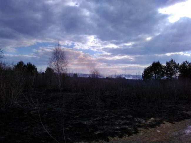 Вигоріло 30 га території: на Волині через спалювання сміття ледь не зайнявся ліс. ФОТО