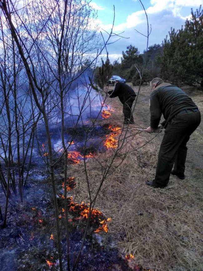 Вигоріло 30 га території: на Волині через спалювання сміття ледь не зайнявся ліс. ФОТО