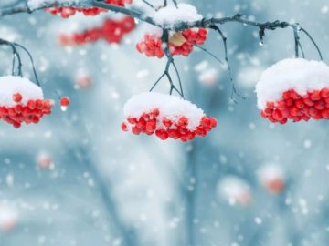 Якою буде погода взимку в Україні: синоптики обіцяють сильні морози