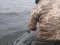 На озері у Шацькому районі рибпатруль зловив двох браконьєрів