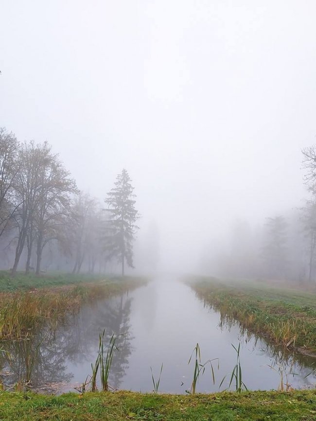 Моторошний луцький парк у полоні туману. ФОТО