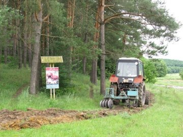 В Україні можуть ліквідувати лісгоспи