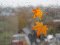 Йдуть сильні зливи з вітрами: українців попереджають про негоду