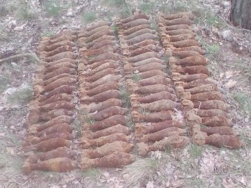 Біля волинського села знайшли десятки мін і снарядів часів Другої світової