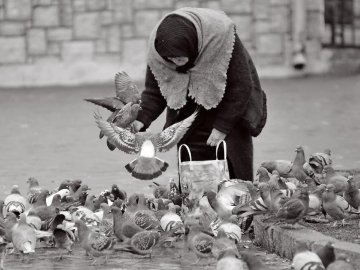 Була обличчям Луцька: померла жінка, яка годувала голубів на Театральному майдані