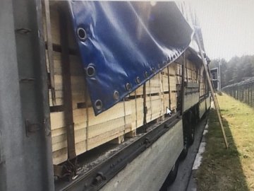 На «Ягодині» затримали вантажівку з «незаконною» деревиною. ФОТО