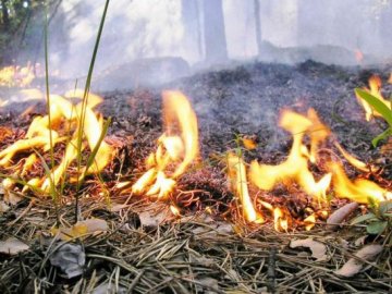 На Дніпропетровщині під час навчань запалили полігон
