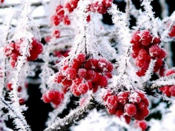 Погода в Луцьку та Волинській області на середу, 18 грудня