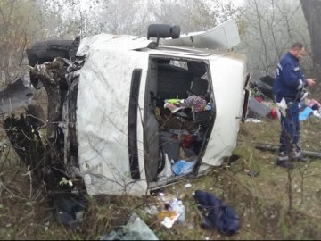 В Угорщині розбився автобус із українцями. ФОТО