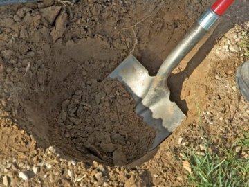 Ковельське екологічне лихо:  «падаль» закопують в ями