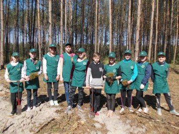 Учні волинської школи посадили 5 гектарів лісу