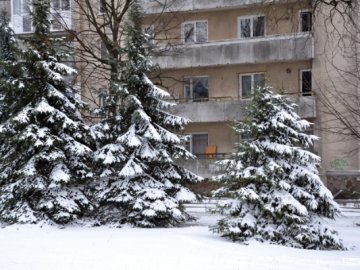 Фото снігового ранку в Луцьку