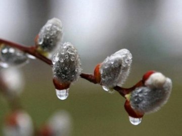 В Західній Україні прогнозують похолодання