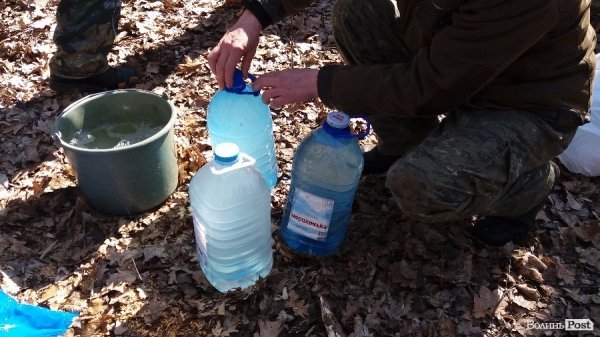 Як «видобувають» березовий сік. ФОТО Як «видобувають» березовий сік. ФОТО