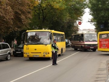 У Луцьку – найкраща транспортна система