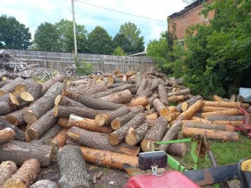 На одній з волинських лісопилень виявили 120 «кубів» незаконної деревини.ФОТО