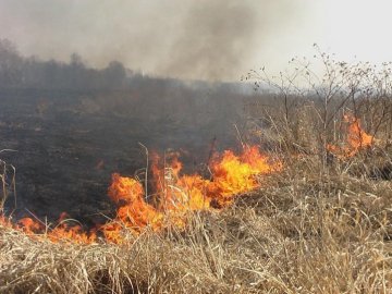 На Львівщині загинула пенсіонерка, яка спалювала суху траву