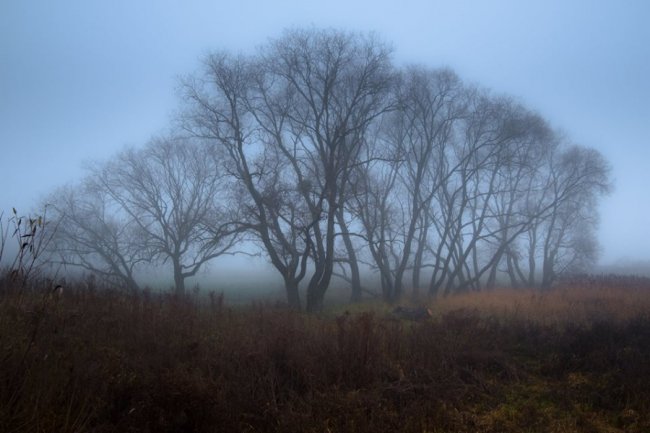 Туманна Волинь на світлинах луцького фотографа