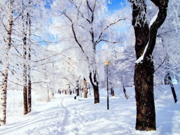 Погода в Луцьку та Волинській області на четвер, 26 січня