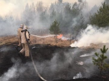 Лісові пожежі на Житомирщині перекинулися на села: вогонь знищив майже 40 будівель