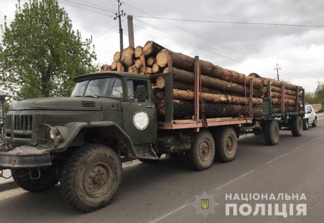 На Волині затримали три вантажівки із незаконною деревиною. ФОТО