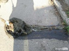 У Ковелі за тиждень на мережах водопостачання сталося 4 аварії