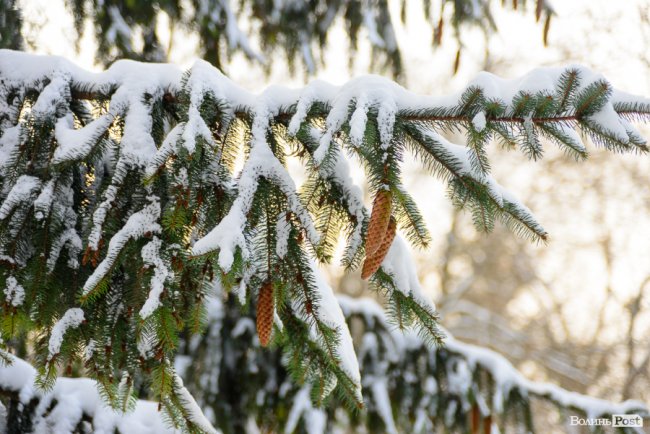 Інший бік зимової стихії: краса засніженого Луцька. ФОТО