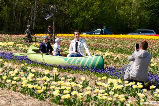 Три гектари тюльпанів: перший день фестивалю «Волинська Голландія» у світлинах. ФОТОРЕПОРТАЖ
