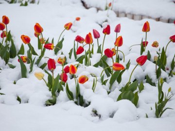 Погода у Луцьку та Волинській області на суботу, 13 березня