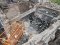 З-під завалів багатоповерхівки на Дніпропетровщині дістали тіло жінки
