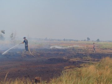На Волині масштабна пожежа: горить торф площею близько ста гектарів
