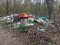 У лісосмузі біля села на Волині – стихійне сміттєзвалище. ФОТО