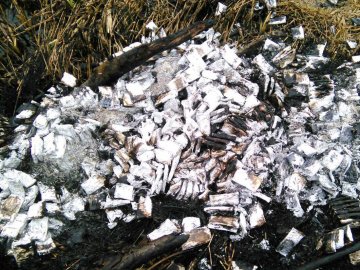 На Волині контрабандисти спалили 12 ящиків сигарет, які не змогли перевезти в Польщу