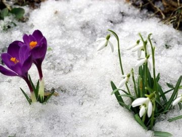 Погода в Луцьку та Волинській області на п'ятницю, 14 лютого