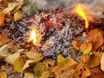 Як карають лучан, які спалюють сміття та сухе листя