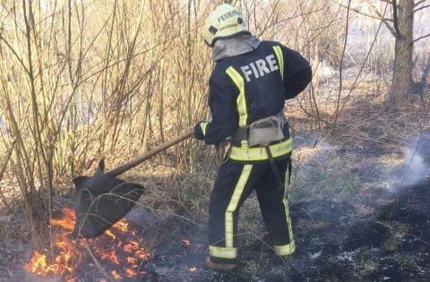 Волинські рятувальники вже 4 дні гасять пожежу торфу. ФОТО