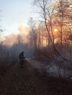 Волинські рятувальники вже 4 дні гасять пожежу торфу. ФОТО