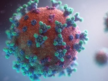 В Україні виявили п’ять мутацій коронавірусу – «британської» серед них немає