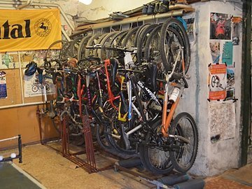 Волинські велоолімпійці виросли у підвальних умовах. ФОТО