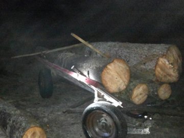 За крадену деревину волиняни можуть «сісти» на п'ять років. ФОТО