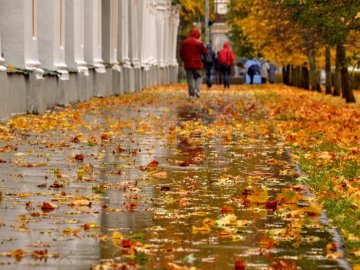 Беріть з собою парасолі: прогноз погоди на 10 листопада від волинських синоптиків