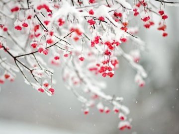 Синоптики попереджають  про сувору зиму у цьому році