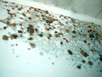 Сморід і грибок: лучанка з малою дитиною мешкає у затопленій квартирі