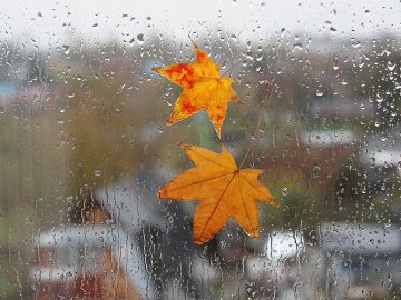Погода в Луцьку та Волинській області на вівторок, 1 вересня