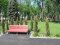 У Луцьку облаштують нові парки та висадять понад 1000 дерев 
