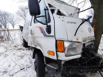 На трасі Львів-Луцьк вантажівка врізалася в дерево. ФОТО