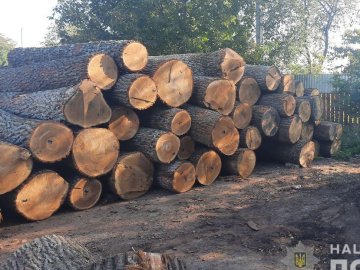 Одне з луцьких підприємств переробляло крадену деревину 