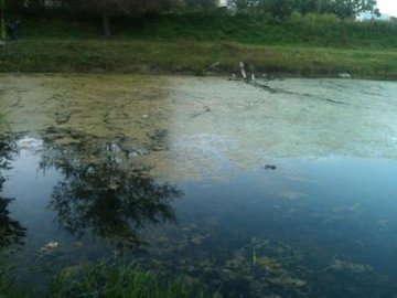На Теремнівських ставках у Луцьку знайшли потопельника